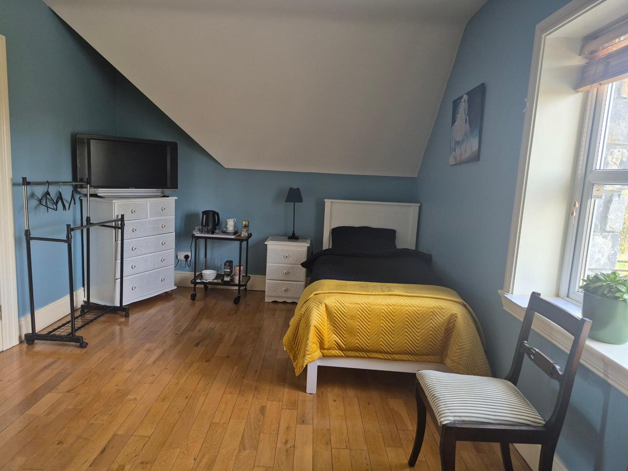 Ballinasloe Guest House In The Heart Of The Country Luaran gambar